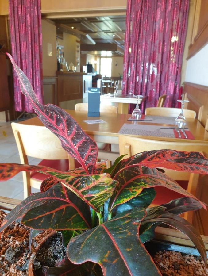 Hotel Lion D'Or Romont Eksteriør billede